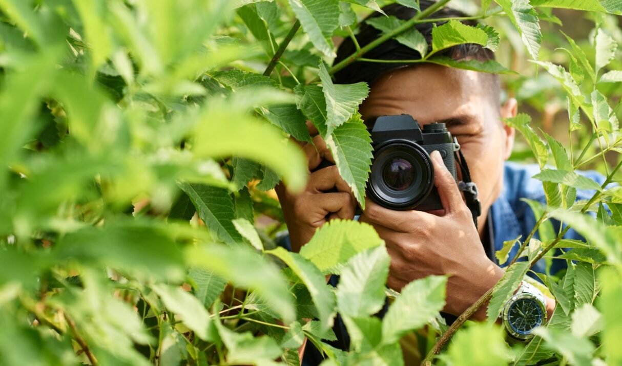 Test Post: 7 Essential Rules for Better Photos