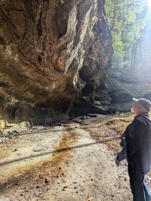 7 image000002_20260211_152646