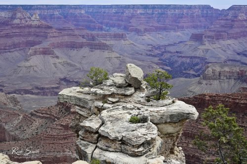 Grand Canyon 3