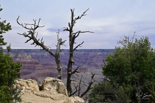 Grand Canyon 1