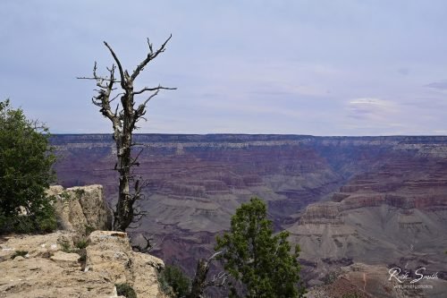 Grand Canyon 5