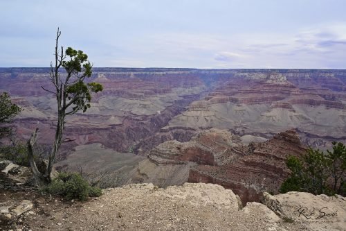 Grand Canyon 7