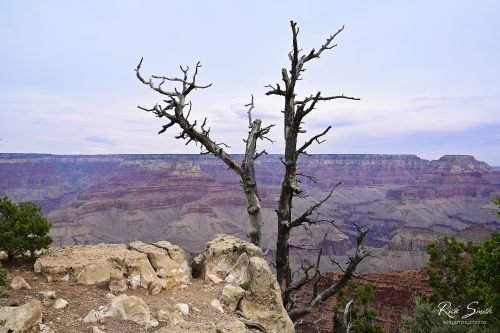 Grand Canyon 8